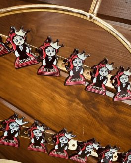 PINS CARMELA♥️